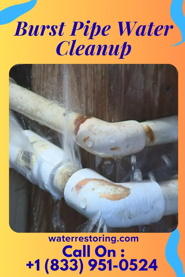 Burst Pipe Water Cleanup in New Knoxville, OH