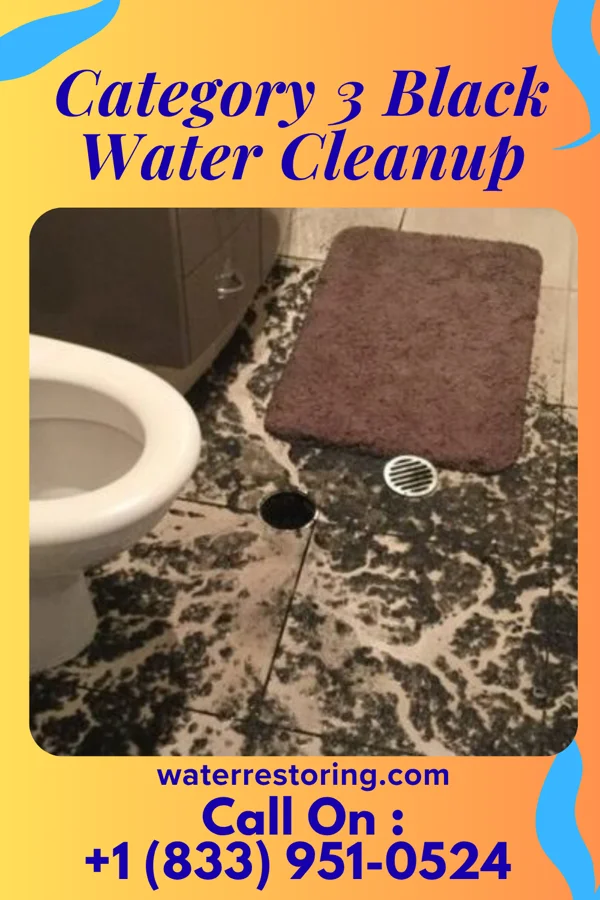 Category 3 Black Water Cleanup in New Knoxville, OH
