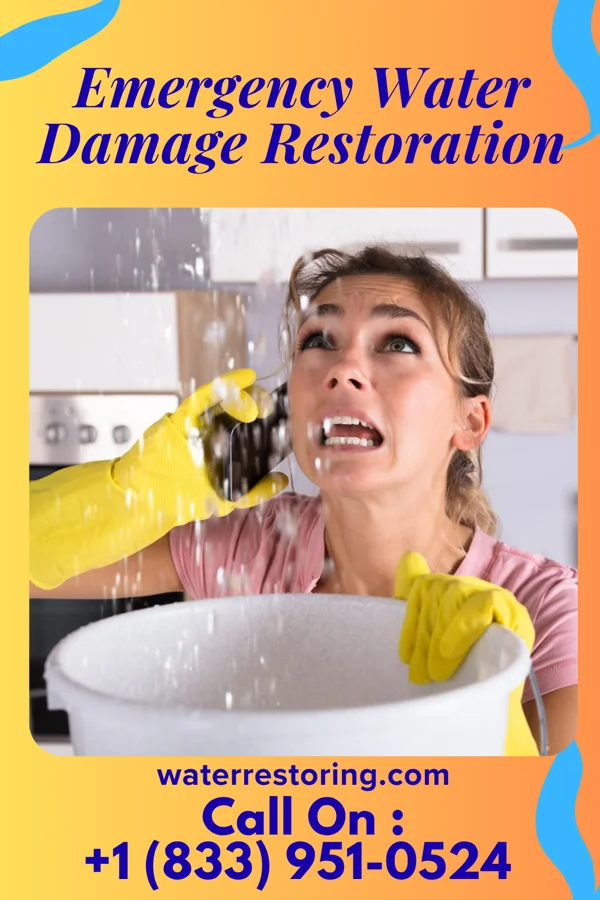 Emergency Water Damage Restoration in New Knoxville, OH
