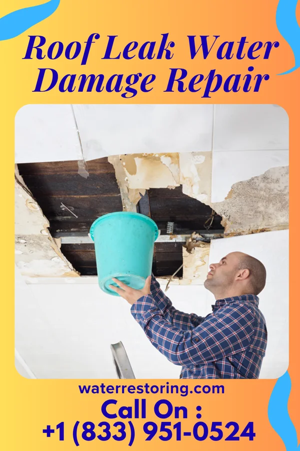 Roof Leak Water Damage Repair in New Knoxville, OH