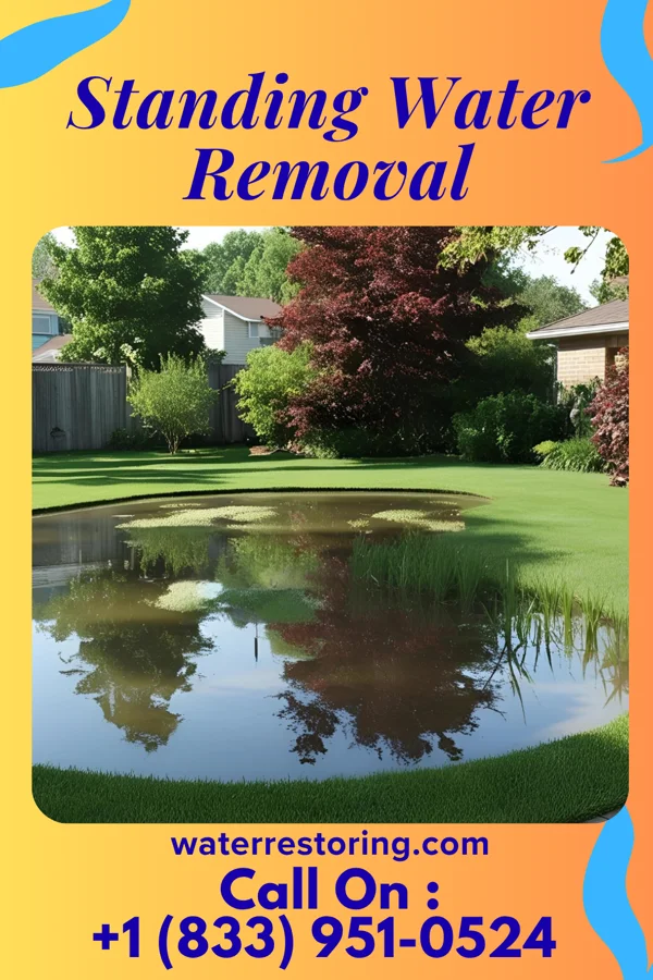 Standing Water Removal in New Knoxville, OH